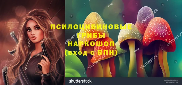 спиды Арсеньев