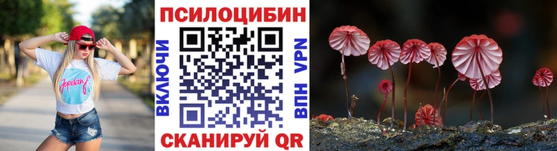 Купить где Пересвет Псилоцибиновые грибы прущие грибы